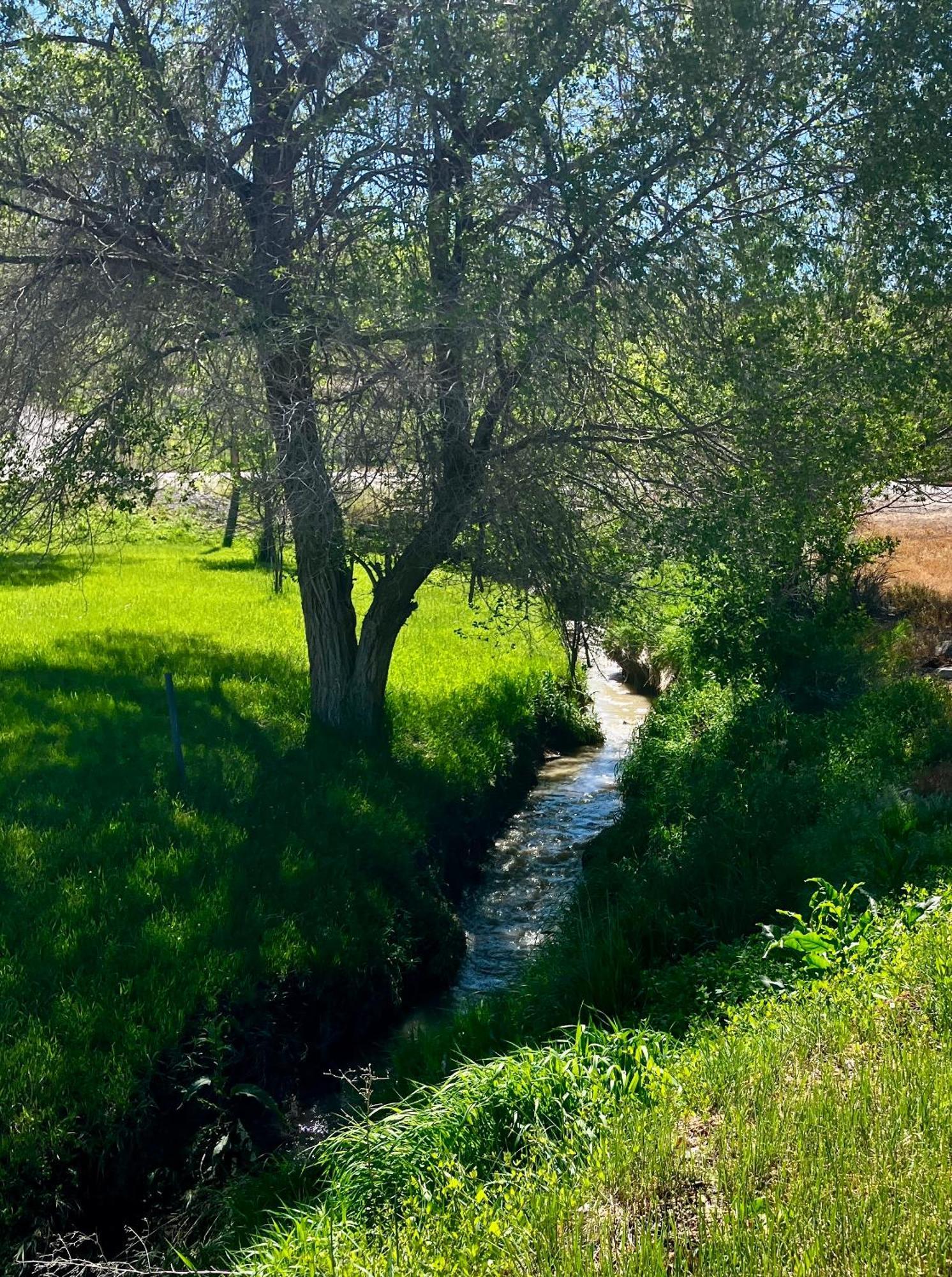 Let'S Go ! Fisherman, Families, Pools One Minute From Your Door, Comfort, Location Perfect, Amenity-Rich, Pup Friendly, Discover An Exceptional Wyoming Stay, Thermopolis River Walk Home At Hot Springs State Park, 'Where Families And Fisherman Stay' エクステリア 写真