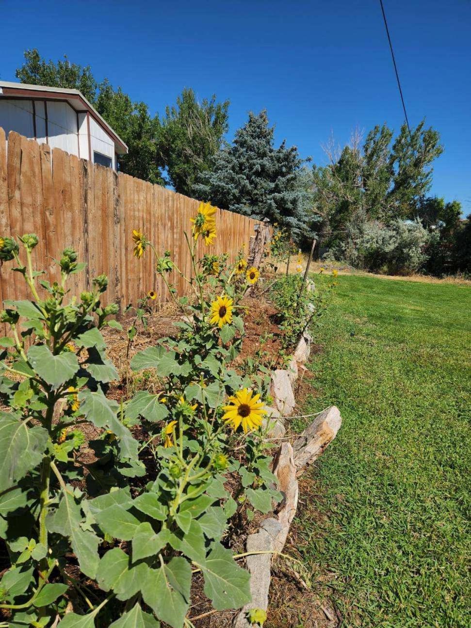Let'S Go ! Fisherman, Families, Pools One Minute From Your Door, Comfort, Location Perfect, Amenity-Rich, Pup Friendly, Discover An Exceptional Wyoming Stay, Thermopolis River Walk Home At Hot Springs State Park, 'Where Families And Fisherman Stay' エクステリア 写真